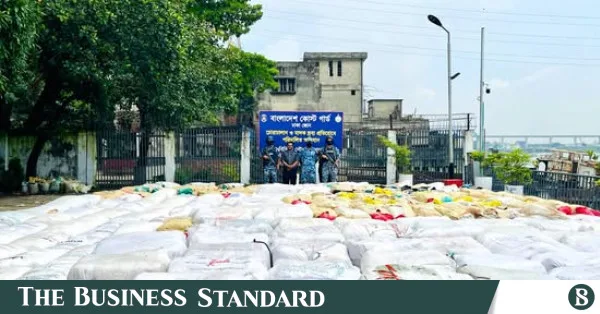 Banned polythene worth Tk3.63cr seized in Armanitola