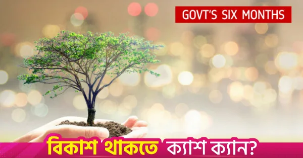 2.23 crore trees planted in six months, 43% of annual target met