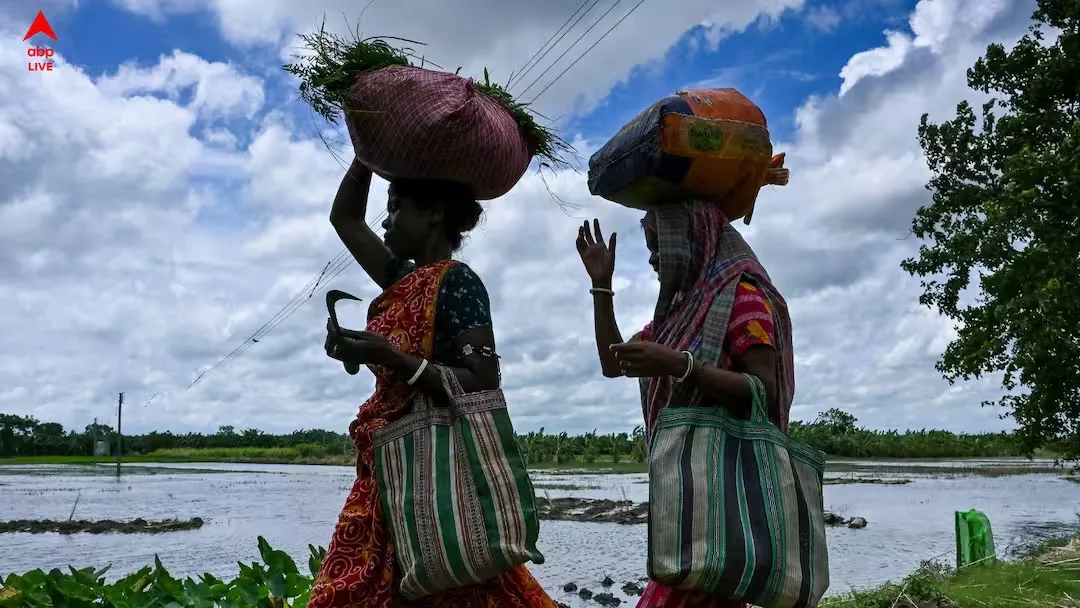 Rain and Gusty Winds Forecast for 8 South Bengal Districts