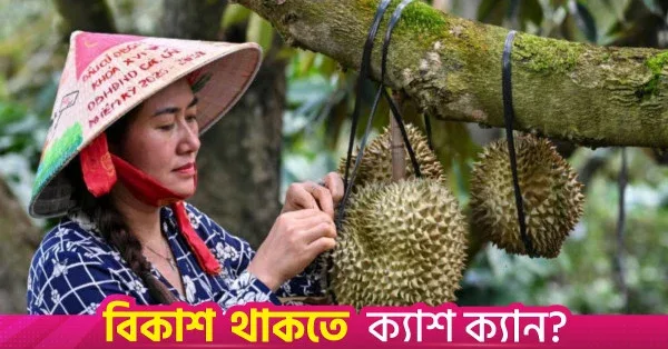 Vietnam's durian exports projected to hit $4 billion