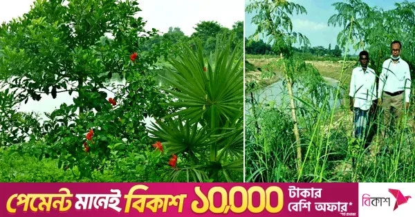 Waterway restoration boosts ecosystem and agriculture in Rangpur