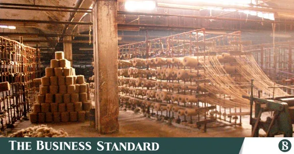 Economic zones planned on land of three closed state-owned mills