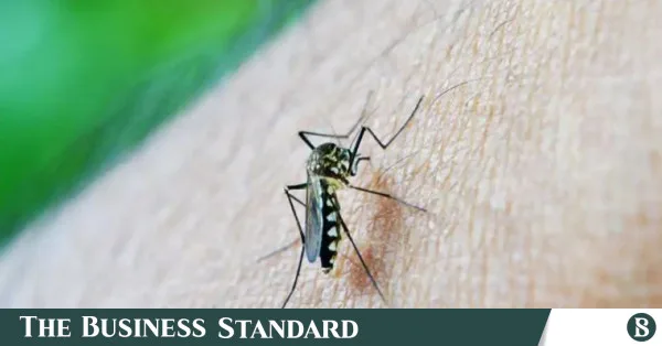 Why are some people more attractive to mosquitoes?