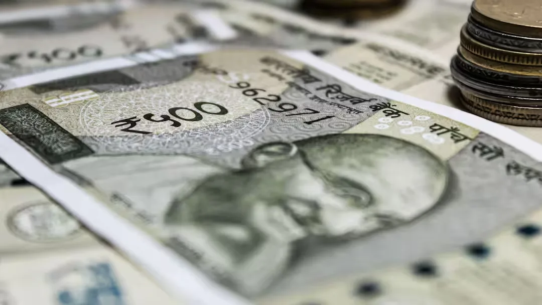 Termites destroy farmer's savings of Rs 5 lakh in Rajasthan