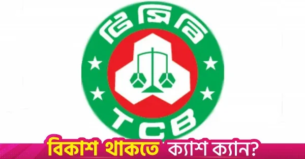 TCB plans AI-based market intelligence and storage expansion