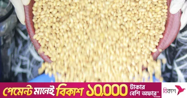 Bangladesh emerges as key market for US soybean exports