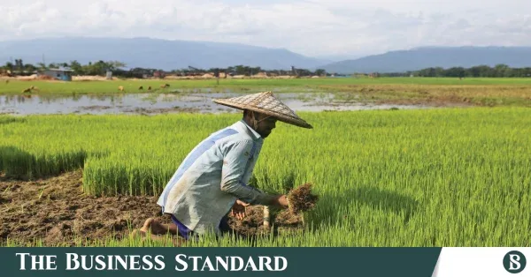 Bangladesh Bank sets Tk60,000cr agricultural loan target for FY27