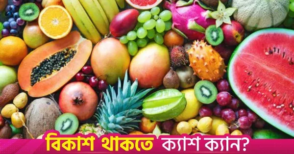 Bangladesh co-hosts Mekong-Lancang Fruits Festival in Kunming to boost exports