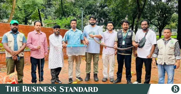 Six venomous cobras rescued in Gulistan, one arrested
