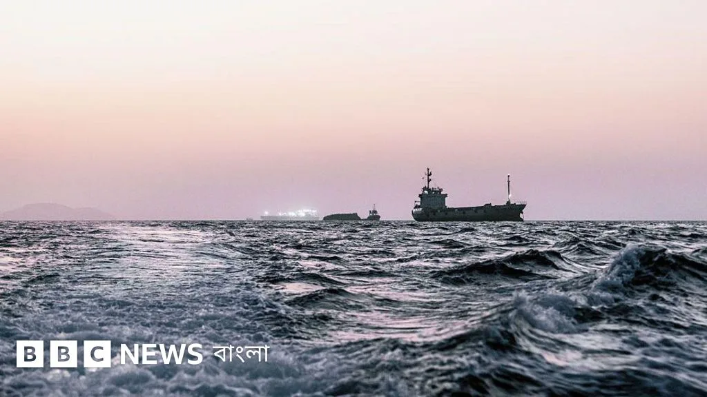 Stuck ships in Strait of Hormuz pose environmental threat
