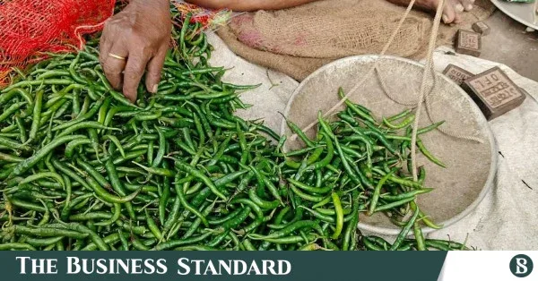 467 tonnes of Indian green chillies imported via Bhomra