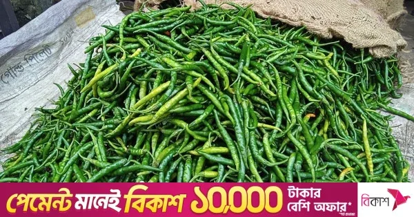 Green chilli prices to reach tolerable levels within 2-5 days: Agriculture Minister