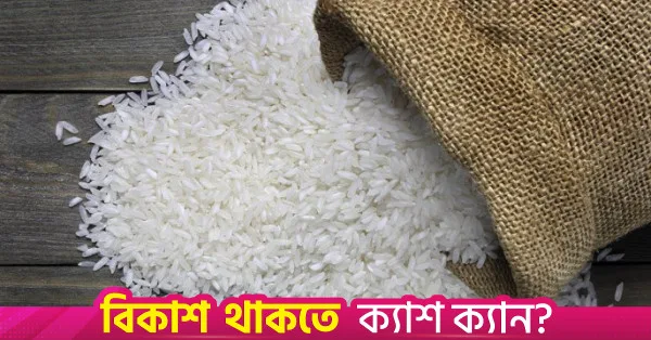 সুগন্ধি চাল রপ্তানির কোটা ৫০ শতাংশ কমাল সরকার