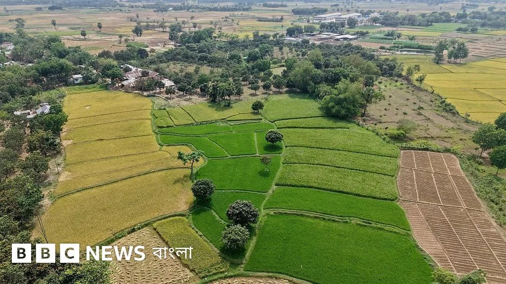 New regulations introduced for land mutation in Bangladesh