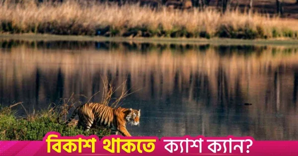 Sundarbans reopens for tourists and fishers after three-month ban
