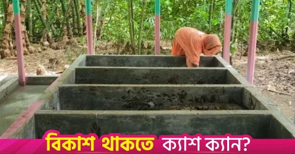 ব্রাহ্মণবাড়িয়ায় কেঁচো চাষে সফল কৃষক