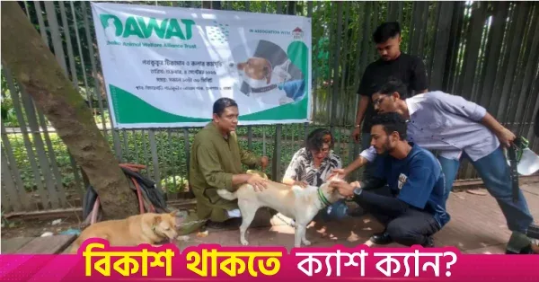 Gulshan Society and Dawat launch stray dog vaccination and collaring drive