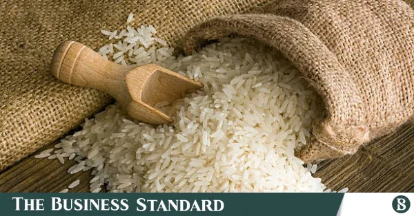 Shipping agent disputes reports of aflatoxin in Indian rice