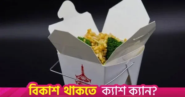 চীনা টেকআউট বক্সের আশ্চর্যজনক আমেরিকান উৎস